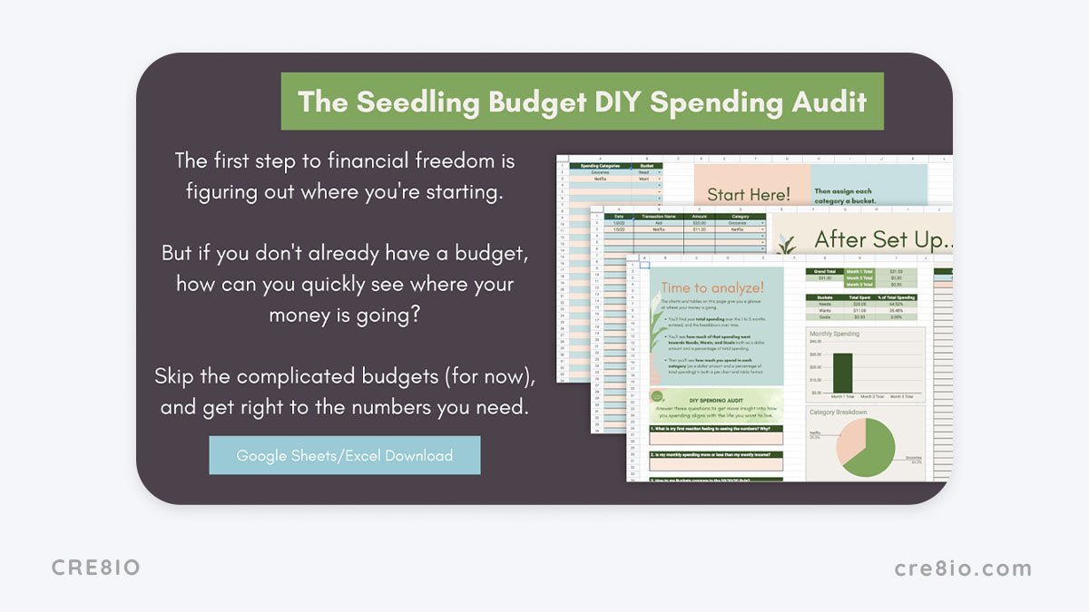 DIY Spending Audit